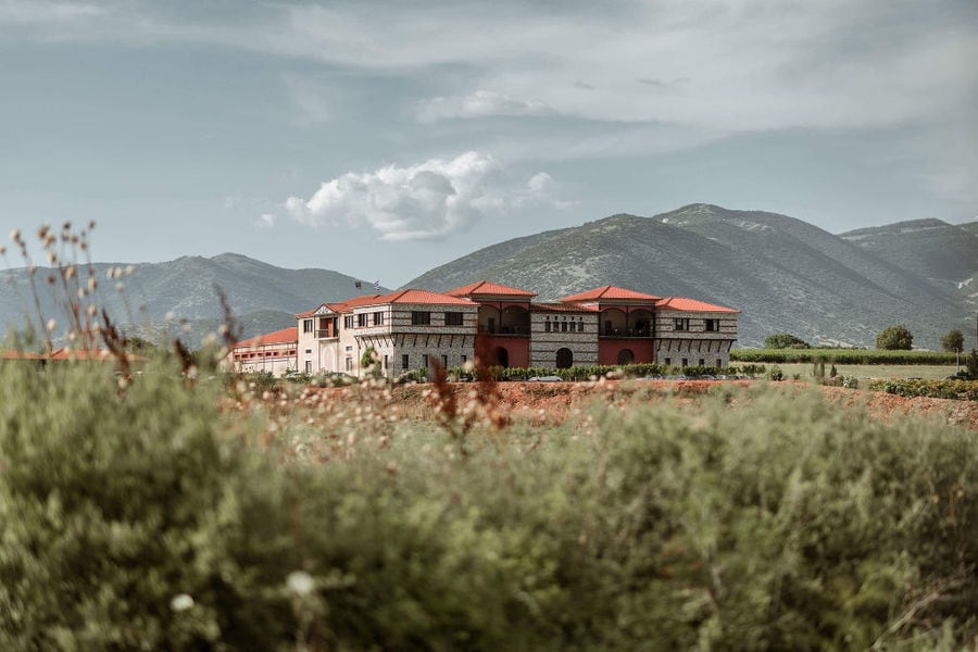 Tall grass on the ground with 'Oenogenesis Estate' stone building on side in the background